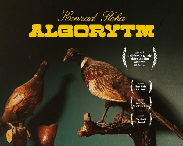 Algorytm